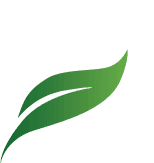 Academy-A-icon-white